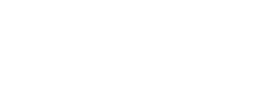 Qingxi IT Services
